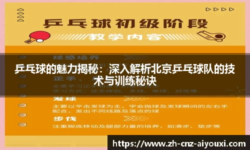 乒乓球的魅力揭秘：深入解析北京乒乓球队的技术与训练秘诀